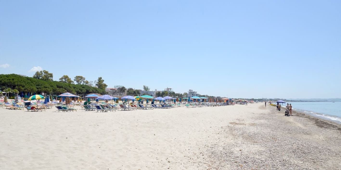 Sunshades and loungers on a sandy beach, with pine trees behind