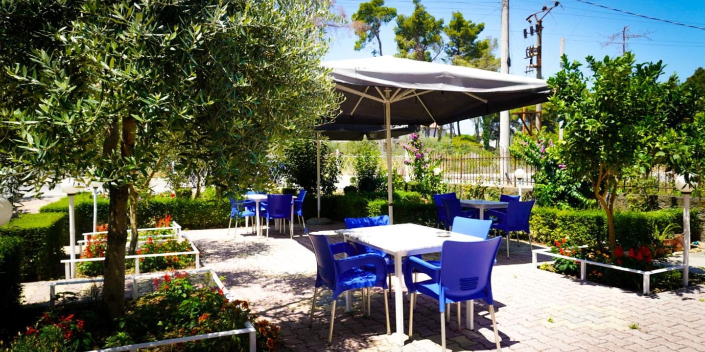 White tables and blue chairs on the paved garden terrace, under an olive tree and a large parasol