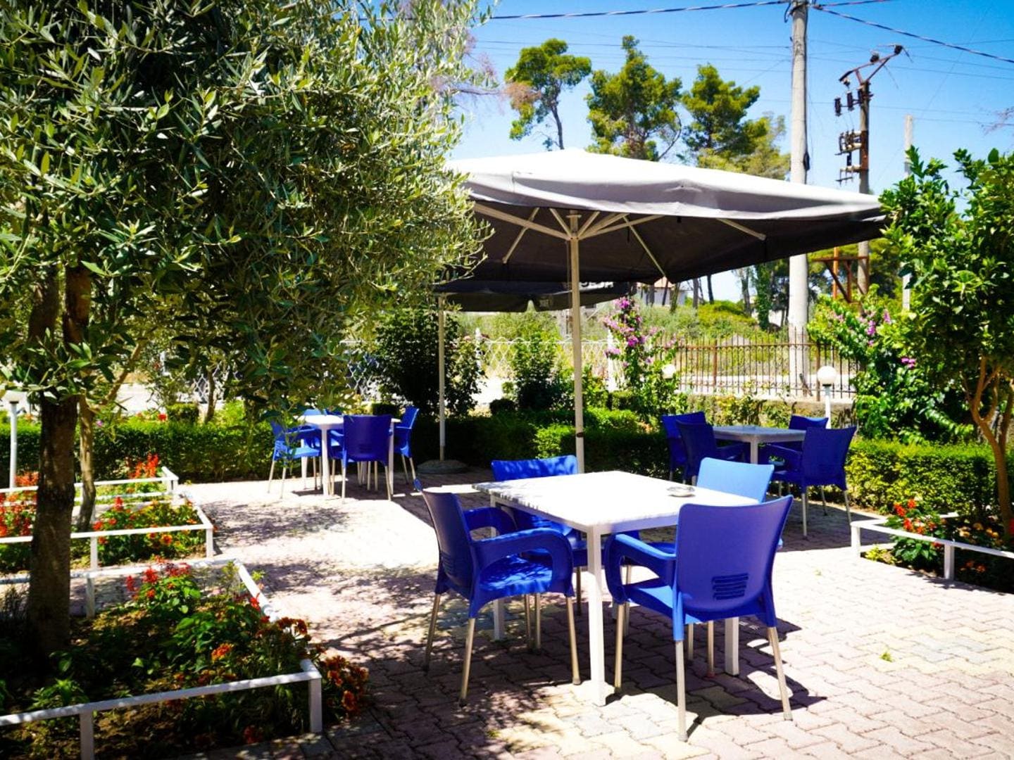 White tables and blue chairs on the paved garden terrace, under an olive tree and a large parasol